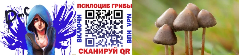Псилоцибиновые грибы мухоморы  Купить где  Томмот 